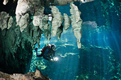 scuba-diver-in-gran-cenote-tulum-yucatan