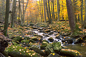 mountain-water-stream-in-fall-thurmont-m