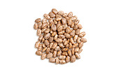dried-pinto-beans-on-white-background-an