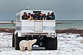 tourists-viewing-a-curious-polar-bear-fr