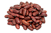 Red Kidney Beans, Dried - Stock Image