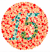 Color Blindness Armed Forces Color Vision Test Pseudo-isochromatic ...