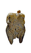 The Venus of Hohle Fels is the oldest undisputed image of a human dating from 40,000 years ago. She is fat and large breasted and carved from mammoth - Stock Image
