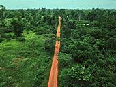 Ivory Coast, Korhogo, Aerial view of 4x4 car driving along dirt road cutting through green jungle - Stock Image