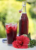 HIBISCUS OR ROSELLE JUICE - Stock Image